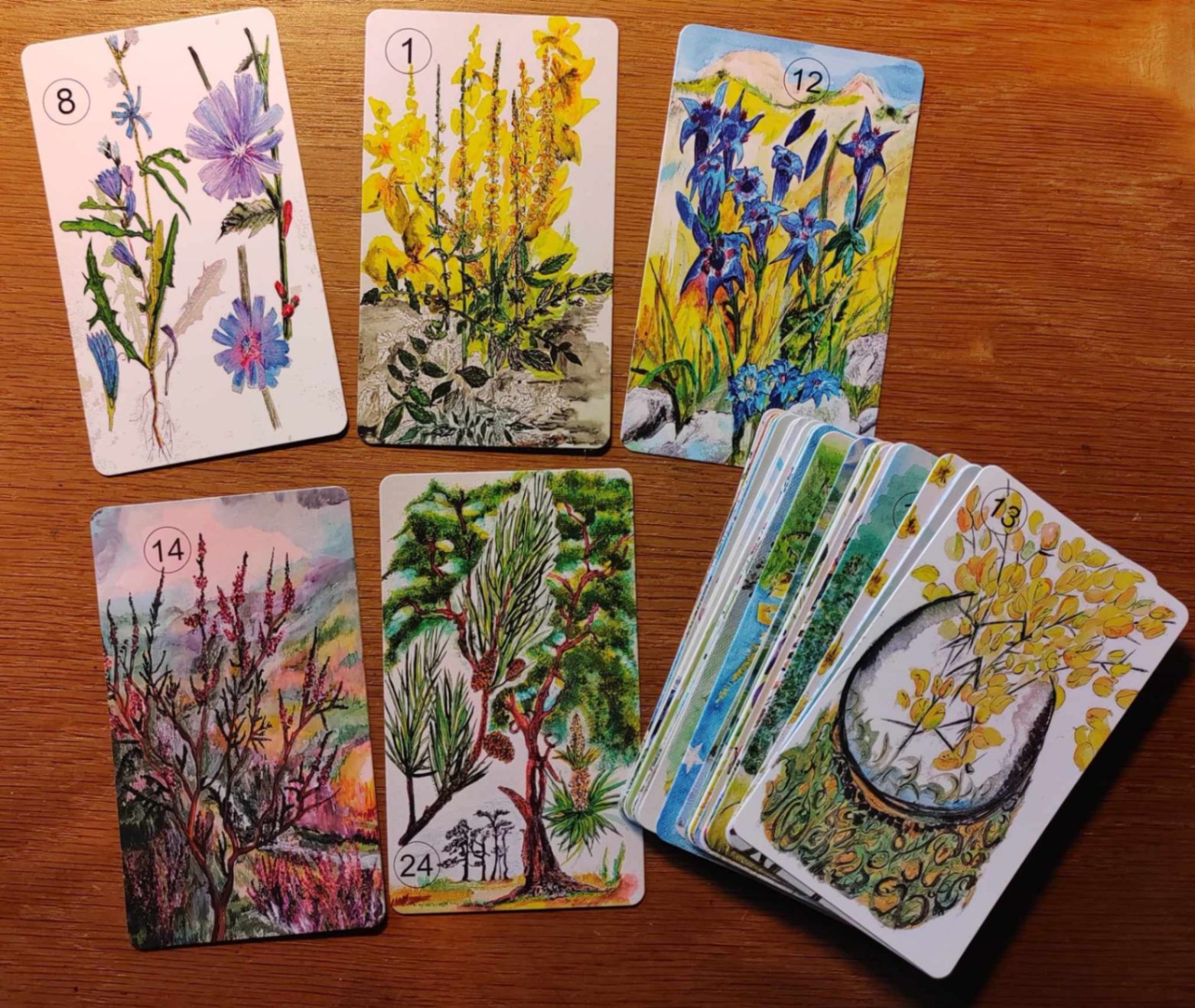 Six Cartes Médecine des Fleurs de Bach étalées, illustrations à l'aquarelle